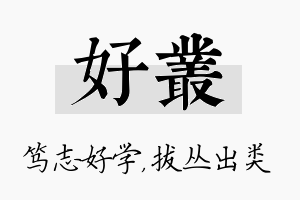 好丛名字的寓意及含义