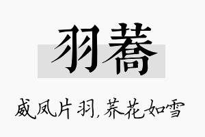 羽荞名字的寓意及含义