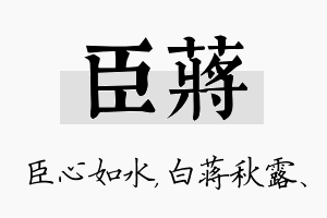 臣蒋名字的寓意及含义