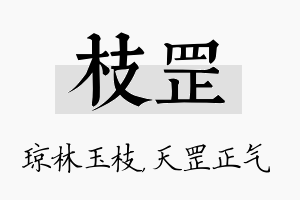 枝罡名字的寓意及含义