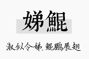 娣鲲名字的寓意及含义