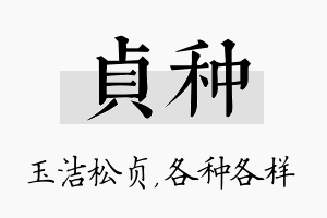 贞种名字的寓意及含义