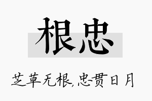 根忠名字的寓意及含义