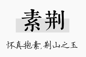 素荆名字的寓意及含义