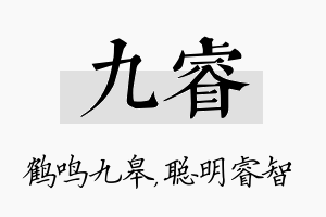 九睿名字的寓意及含义