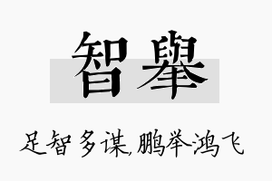 智举名字的寓意及含义