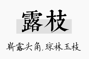 露枝名字的寓意及含义