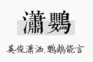 潇鹦名字的寓意及含义