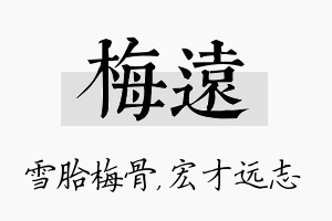 梅远名字的寓意及含义