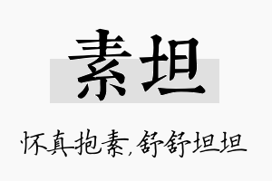 素坦名字的寓意及含义