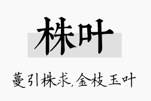 株叶名字的寓意及含义