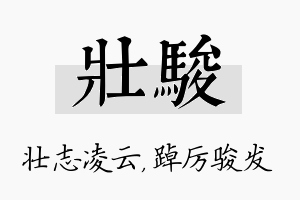 壮骏名字的寓意及含义