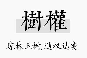 树权名字的寓意及含义