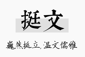 挺文名字的寓意及含义