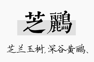 芝鹂名字的寓意及含义