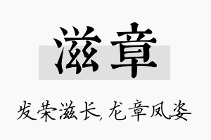 滋章名字的寓意及含义