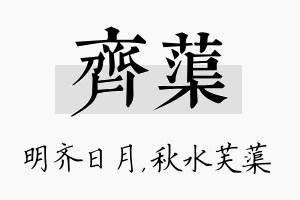 齐蕖名字的寓意及含义