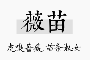 薇苗名字的寓意及含义