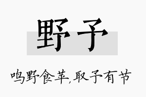 野予名字的寓意及含义