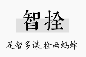 智拴名字的寓意及含义