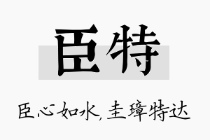 臣特名字的寓意及含义