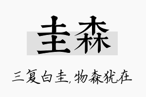 圭森名字的寓意及含义