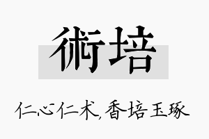 术培名字的寓意及含义