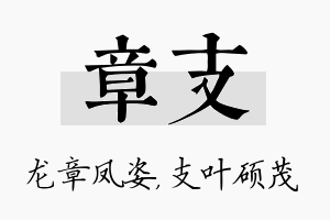 章支名字的寓意及含义