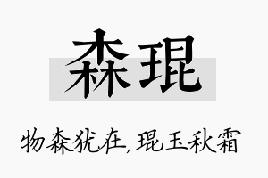 森琨名字的寓意及含义