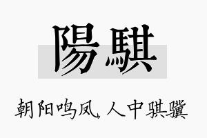 阳骐名字的寓意及含义