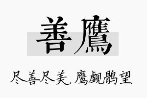 善鹰名字的寓意及含义