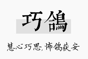 巧鸽名字的寓意及含义