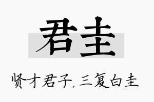 君圭名字的寓意及含义