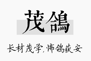 茂鸽名字的寓意及含义