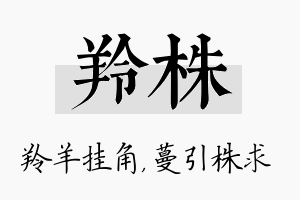 羚株名字的寓意及含义