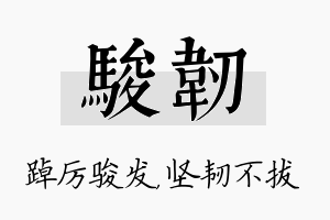 骏韧名字的寓意及含义