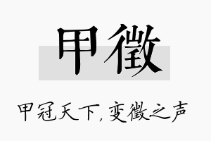 甲徵名字的寓意及含义