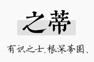 之蒂名字的寓意及含义