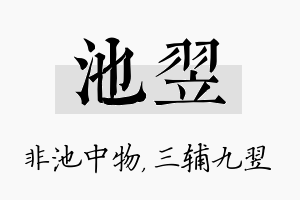 池翌名字的寓意及含义