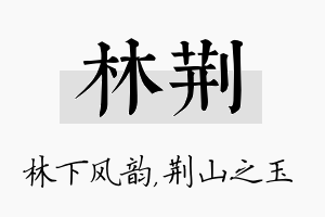 林荆名字的寓意及含义