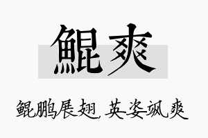 鲲爽名字的寓意及含义