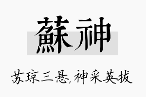 苏神名字的寓意及含义