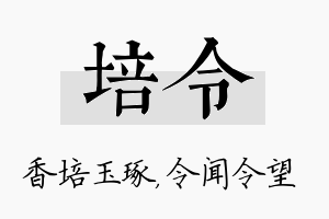 培令名字的寓意及含义