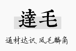 达毛名字的寓意及含义