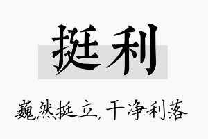 挺利名字的寓意及含义