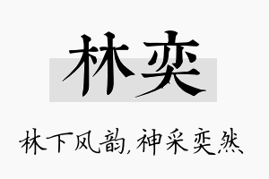 林奕名字的寓意及含义