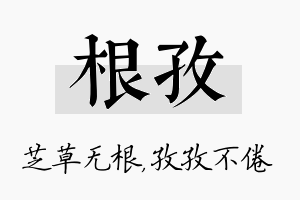 根孜名字的寓意及含义