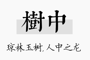 树中名字的寓意及含义