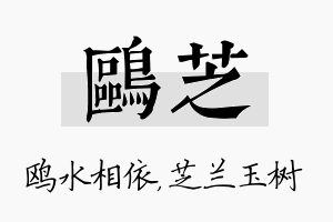 鸥芝名字的寓意及含义