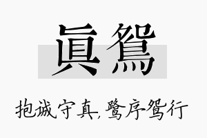 真鸳名字的寓意及含义